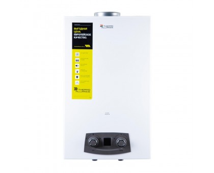 Газовая колонка Thermo Alliance JSD20-10QB 10 л EURO+